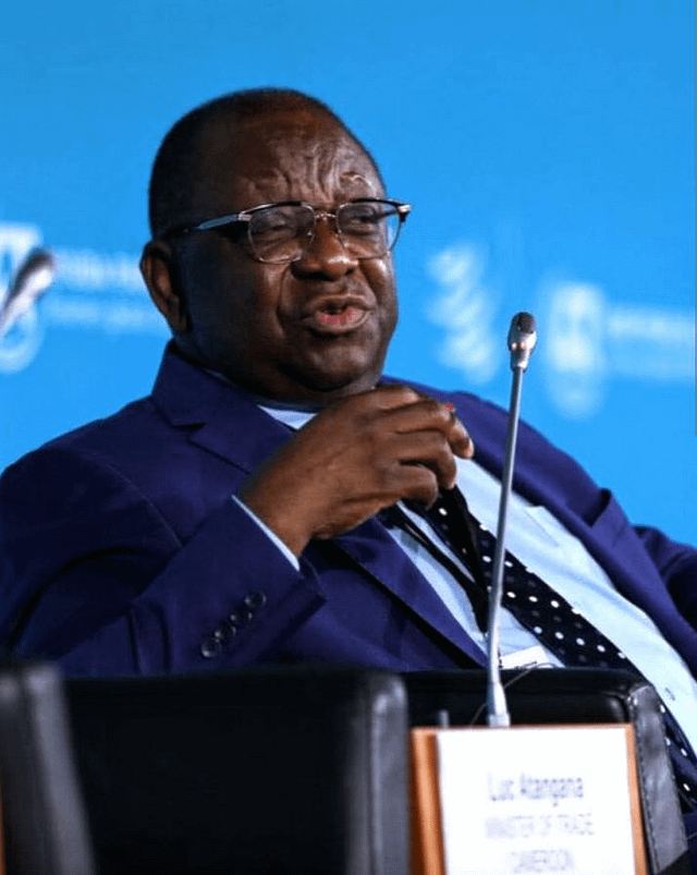 CM 14 à Yaoundé : Luc Magloire Mbarga Atangana reçoit le satisfecit de l’organisation mondiale du commerce ( Correspondance)