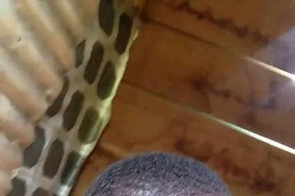 Cameroun: Un gendarme en exploitation à la sécurité militaire (Semil) pour avoir dénoncé les pertes répétées des forces de défense au Noso