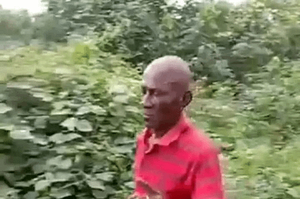 Océan : Le violeur de Bebwambe dans l&rsquo;arrondissement de Kribi 2ème entre les mains de la police