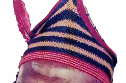 Diplomatie : Fondi Ndifontah Nyamndi est le nouvel ambassadeur du Cameroun en Israël ( Décret présidentiel)