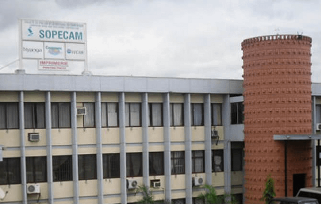 Période pré-électorale au Cameroun : RSF appelle les autorités à ne pas mettre les médias sur la touche