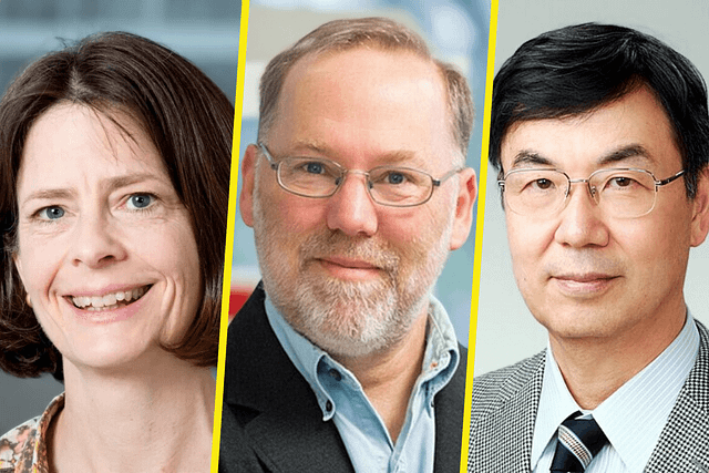 Des gardiens de l’immunité récompensés par le prix Nobel de Physiologie ou Médecine 2025