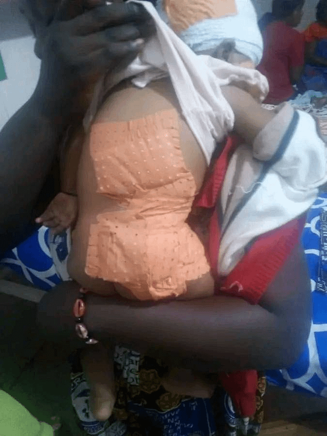 Drame dans le Mfoundi: Un singe s’échappe du parc zoologique de Mvog-Betsi à Yaoundé et tue un nourrisson