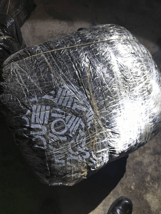 Sud-ouest : Plus de 20 000 comprimés Tramadol saisis à Ekok